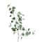 Green Eucalyptus Stem by Ashland&#xAE;
